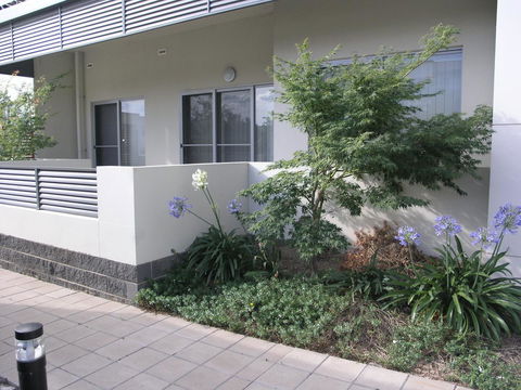 Kesh At Aamira - Accommodation Port Macquarie 16