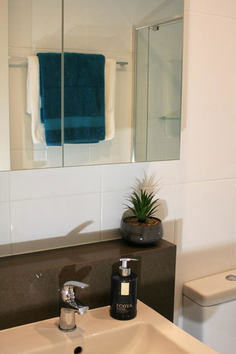 Modern Executive Apt@Barton*1BR*WiFi*Gym*Secure Parking*Canberra - Accommodation Port Macquarie 13