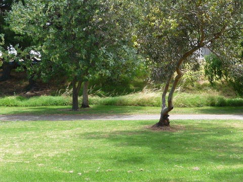 Victor Harbor Holiday Park - Accommodation Port Macquarie 24
