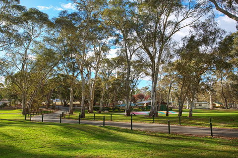 Discovery Parks - Clare - Accommodation Port Macquarie 19