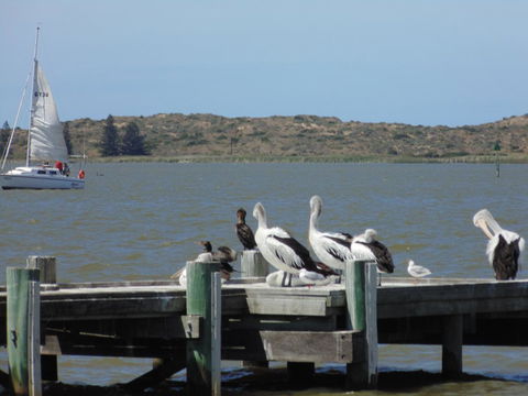 Baronet B & B - Accommodation Port Macquarie 20