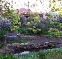 Frog Song at Willunga - Accommodation Port Macquarie