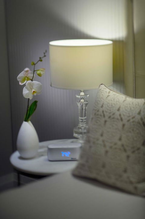 Mayfair Hotel - Accommodation Port Macquarie 13