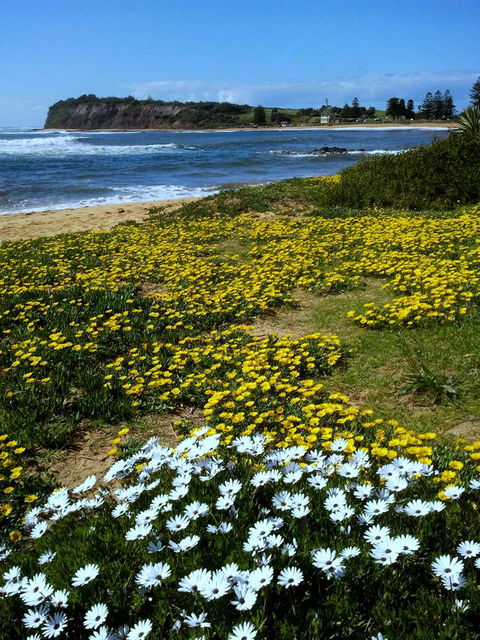 Serenity On Narrabeen Beach - 1Bdr Beachside Retreat - Accommodation Port Macquarie 10