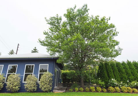 S T U D I O 22 Peaceful Retreat With Garden Views - Accommodation Port Macquarie 11