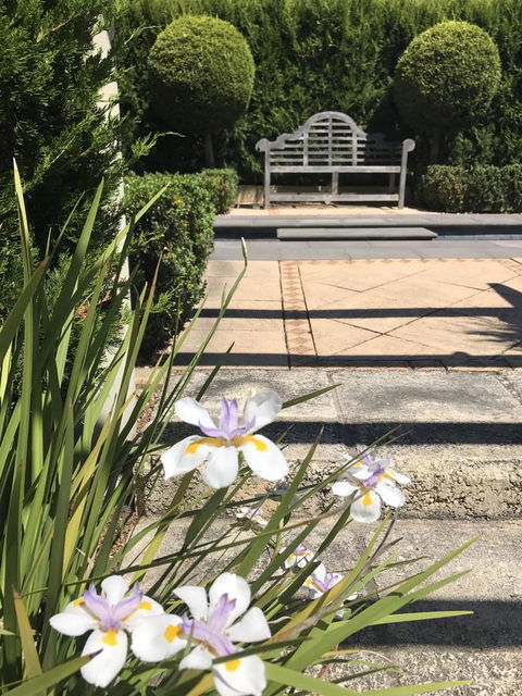 S T U D I O 22 Peaceful Retreat With Garden Views - Accommodation Port Macquarie 13