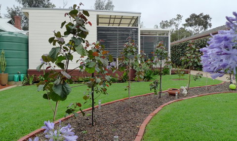 Grassmere House Magill - Accommodation Port Macquarie 19