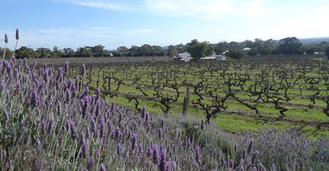 Grassmere House Magill - Accommodation Port Macquarie 25