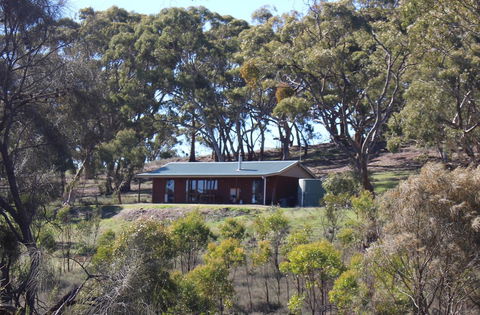 Molly's Chase - Accommodation Port Macquarie 0
