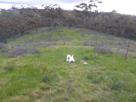 Molly's Chase - Accommodation Port Macquarie 22
