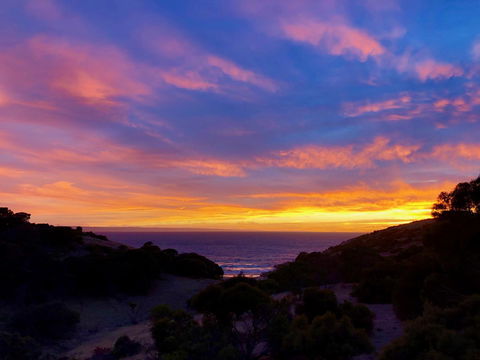 Sea Dragon Kangaroo Island - Accommodation Port Macquarie 14