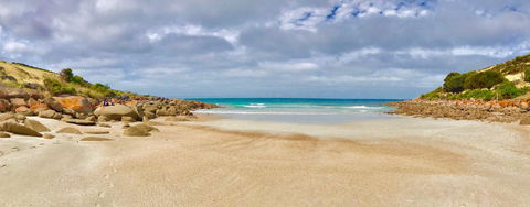 Sea Dragon Kangaroo Island - Accommodation Port Macquarie 16