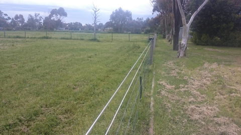 Gaerwood B&B - Accommodation Port Macquarie 17