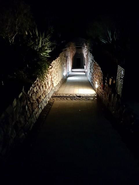 Zen Underground B&B - Accommodation Port Macquarie 13