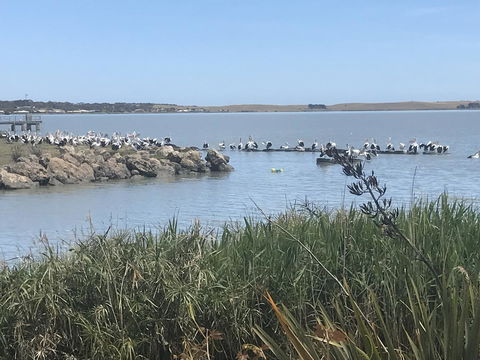 Hydeaway Bay - Own Private Bay + Kayaks - Accommodation Port Macquarie 34