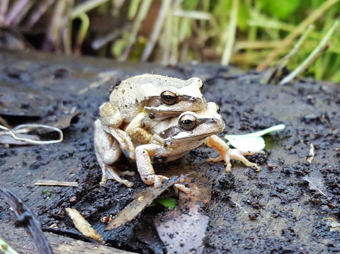 Coorong Waterfront Retreat - Accommodation Port Macquarie 30