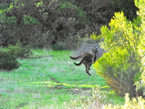 A Dune Escape - Accommodation Port Macquarie 25