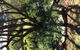 Kit Kat Cottage - Heritage Accommodation Burra - thumb 3