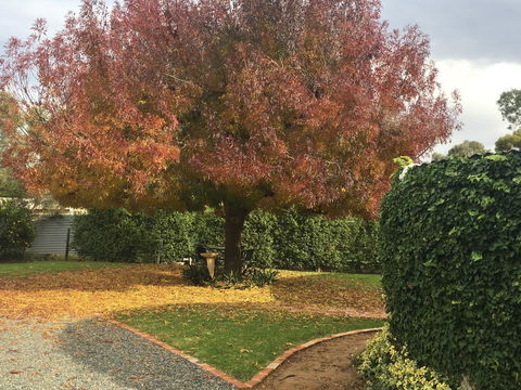 Barossa Retro BnB - Accommodation Port Macquarie 30