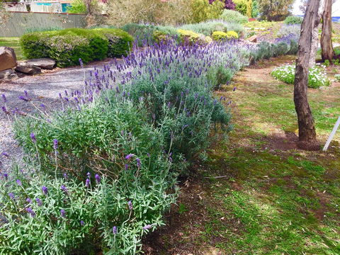 Barossa Retro BnB - Accommodation Port Macquarie 23