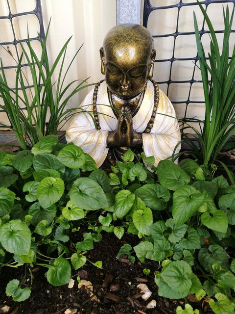 Hilda Anna's - Accommodation Port Macquarie 44