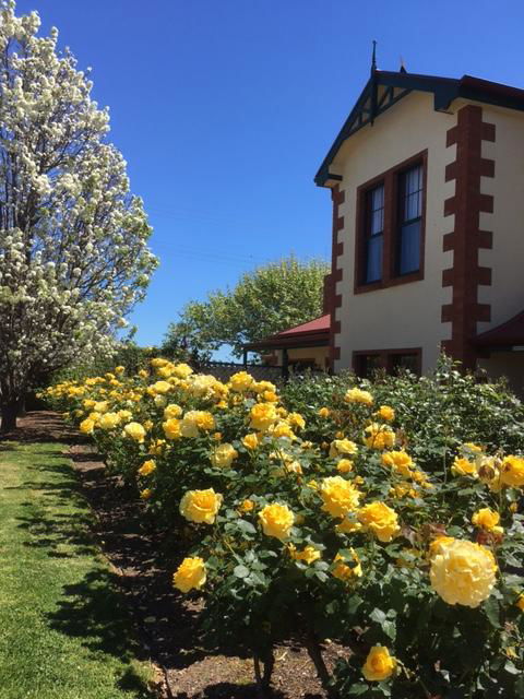 Wine And Roses Bed And Breakfast - Accommodation Port Macquarie 5