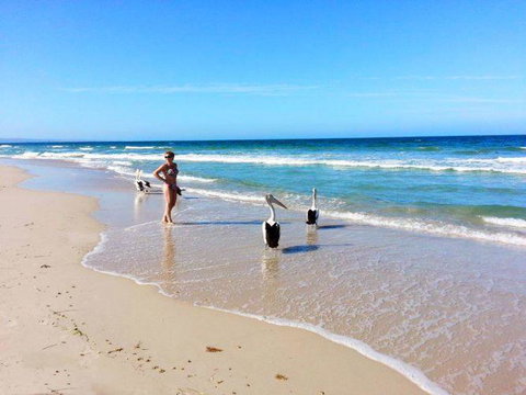 Atlantic West Beach Apartments - Accommodation Port Macquarie 22