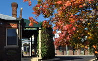 Book Gulgong Accommodation Vacations Accommodation Port Macquarie Accommodation Port Macquarie