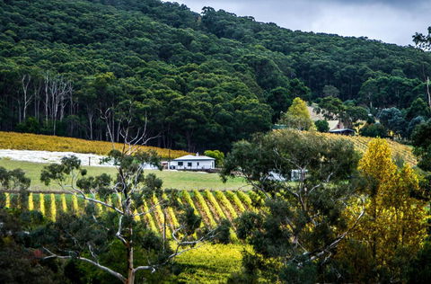 Esto House - Accommodation Port Macquarie 4