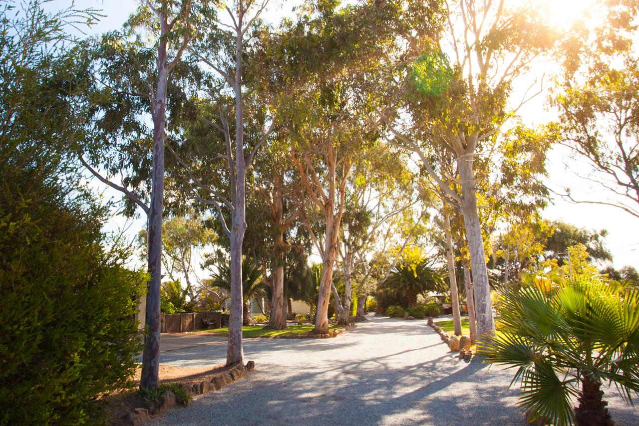 Tumby Bay SA Accommodation Port Macquarie