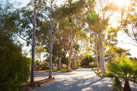 Modra\'s Apartments - Accommodation Port Macquarie 0