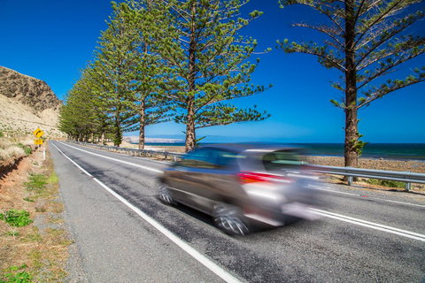 Lady Bay Hotel - Accommodation Port Macquarie 26