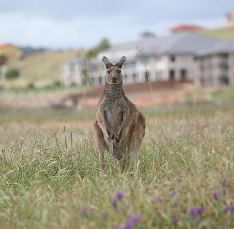 Lady Bay Hotel - Accommodation Port Macquarie 18