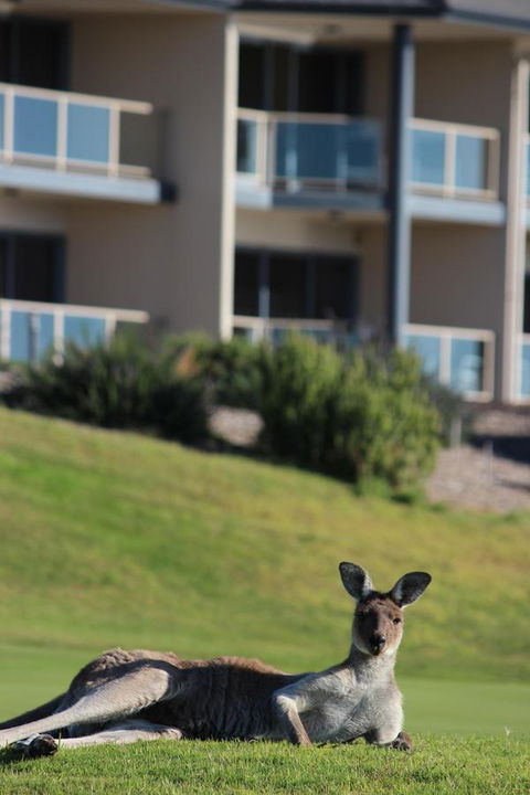 Lady Bay Hotel - Accommodation Port Macquarie 16