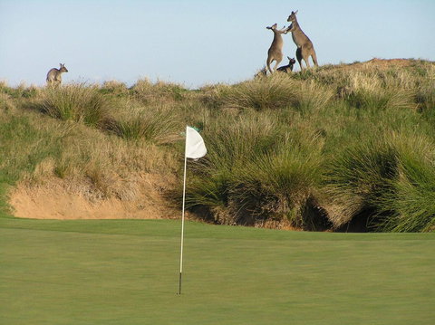 Lady Bay Hotel - Accommodation Port Macquarie 17