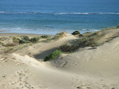 McCloud House - Accommodation Port Macquarie 10