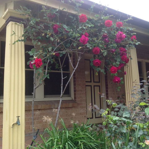 Oats Cottage - Accommodation Port Macquarie 3