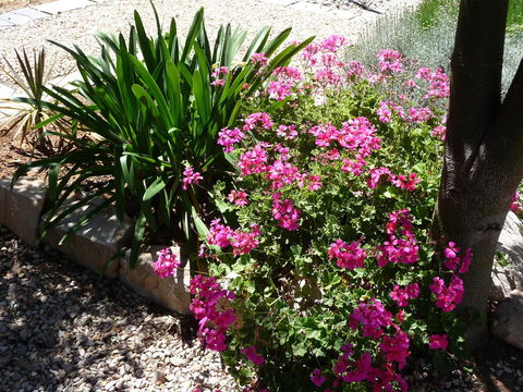 Country Bakehouse Accommodation - Accommodation Port Macquarie 18