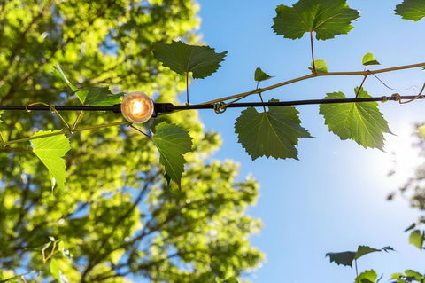 Adelaide Hills Retreats - Accommodation Port Macquarie 32
