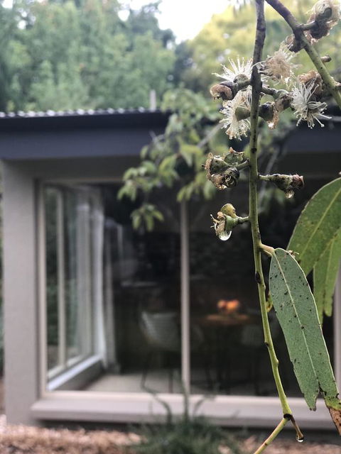 Adelaide Hills Retreats - Accommodation Port Macquarie 9