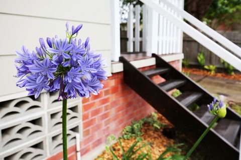 Hudson Bay @ Basin View-Pet Friendly-15 Mins To Hyams Beach - Accommodation Port Macquarie 38