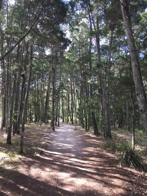 Brunswick Heads Treetop Studio - Accommodation Port Macquarie 8