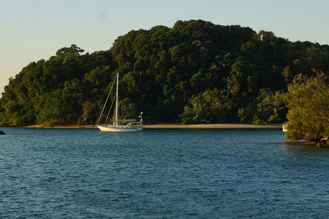 Brunswick Heads Treetop Studio - Accommodation Port Macquarie 9