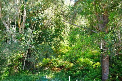 Brunswick Heads Treetop Studio - Accommodation Port Macquarie 20