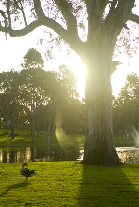 Serafino McLaren Vale - Accommodation Port Macquarie 15