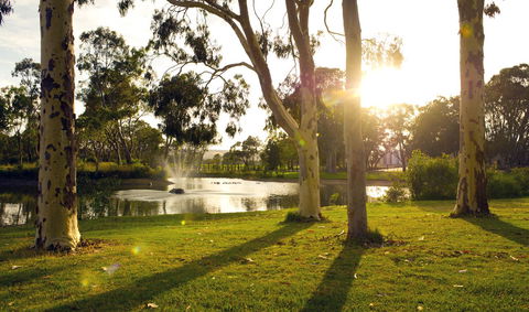 Serafino McLaren Vale - Accommodation Port Macquarie 14