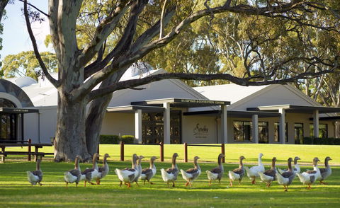 Serafino McLaren Vale - Accommodation Port Macquarie 0