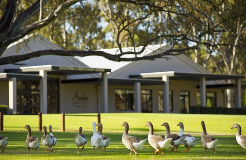 Serafino McLaren Vale - Accommodation Port Macquarie 17