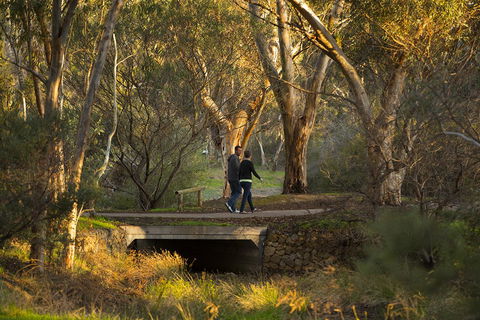 BIG 4 Barossa Tourist Park - Accommodation Port Macquarie 26