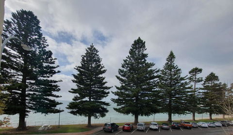 Pier Hotel Port Lincoln - Accommodation Port Macquarie 12